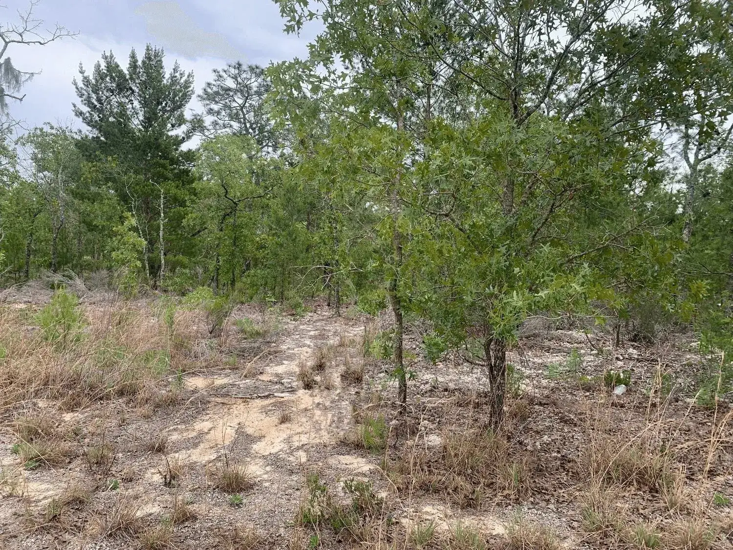 Land/Boat Docks for sale at 0 Gray Street, FL 32148