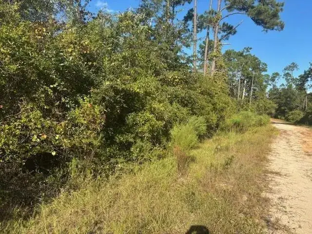 Land/Boat Docks for sale at 0 Mulberry Drive, FL 32448