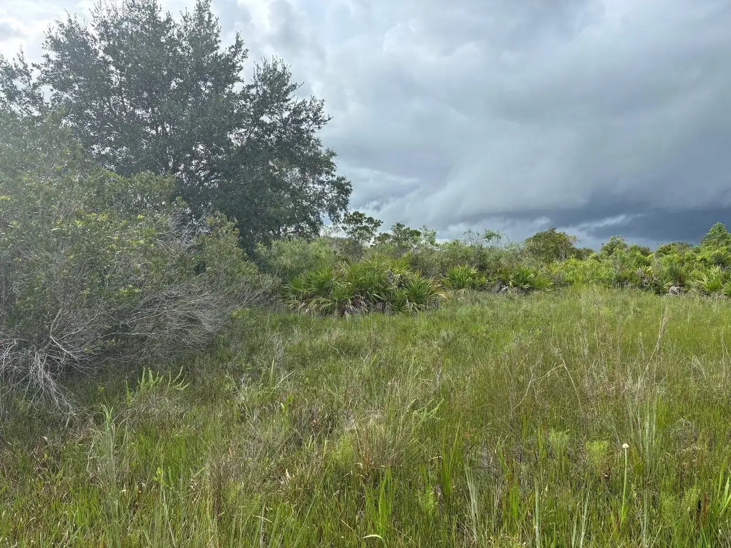 Land/Boat Docks for sale at 0 NW 312th Street, Okeechobee FL 34972