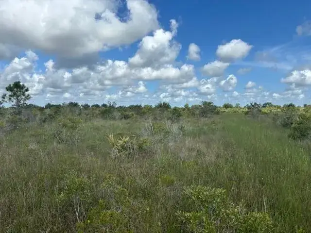 Land/Boat Docks for sale at 0 NW 318th Street, Okeechobee FL 34972