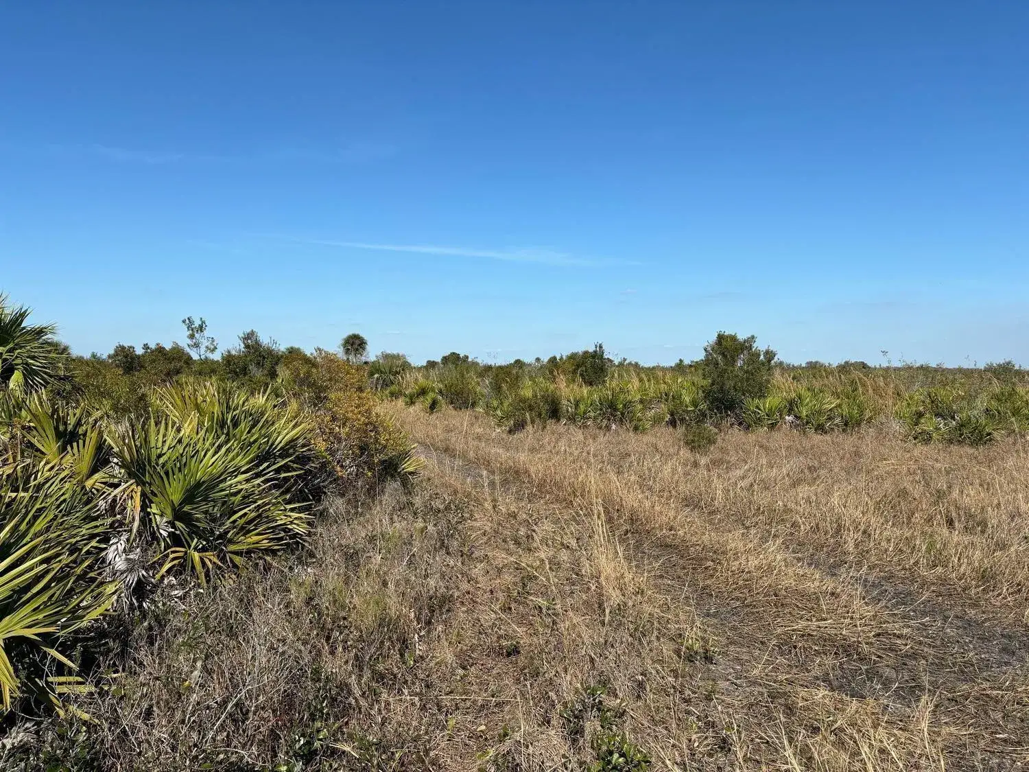Land/Boat Docks for sale at 0 NW 316th Street, Okeechobee FL 34972