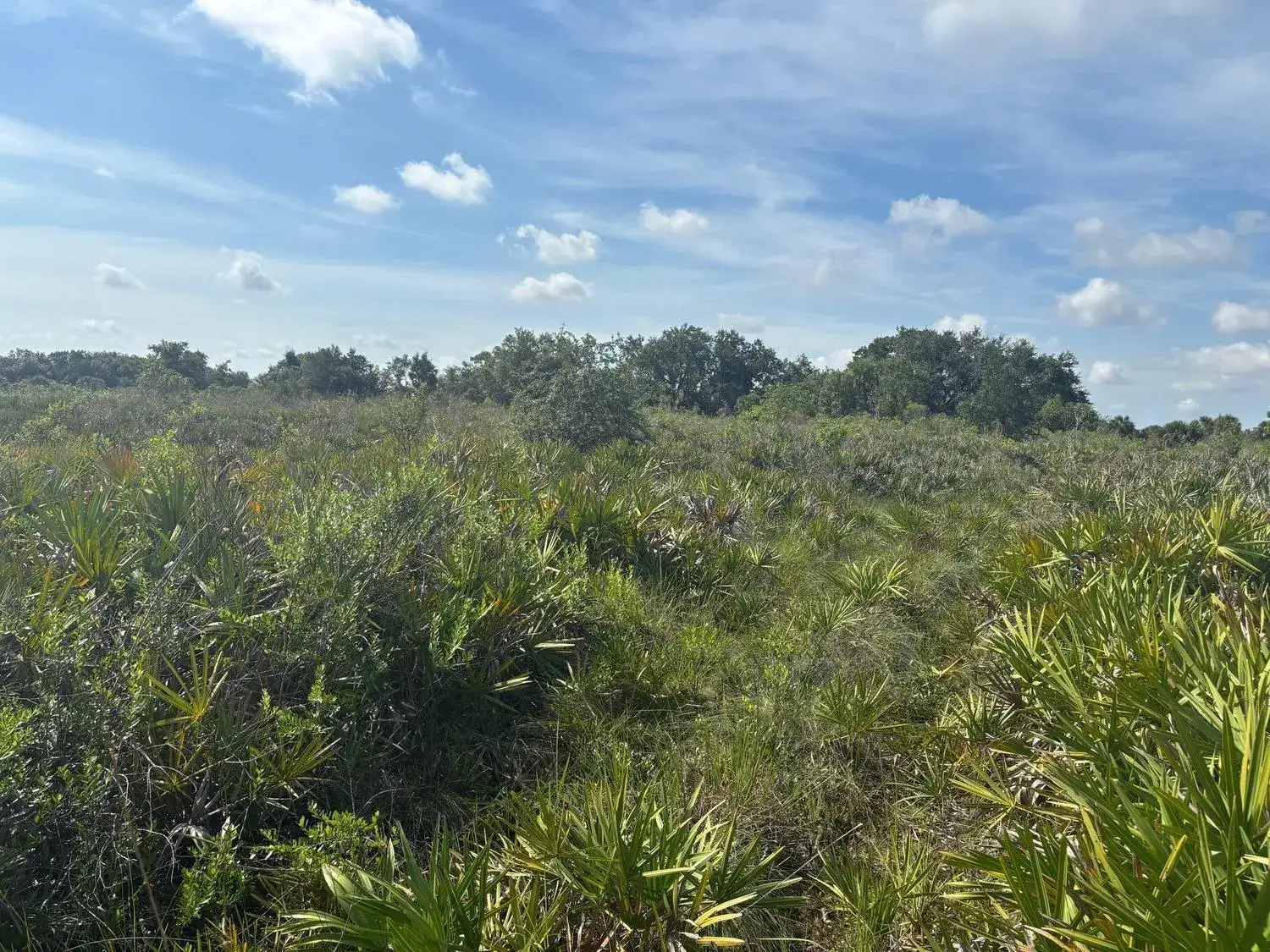 Land/Boat Docks for sale at 0 NW 310th Street, Okeechobee FL 34972