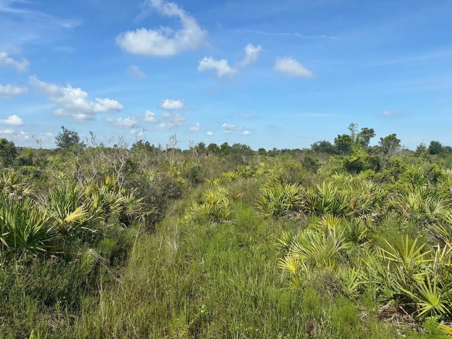 Land/Boat Docks for sale at 0 NW 312th Street, Okeechobee FL 34972