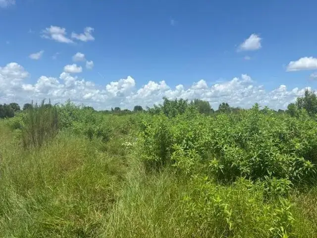 Land/Boat Docks for sale at 0 NW 318th Street, Okeechobee FL 34972