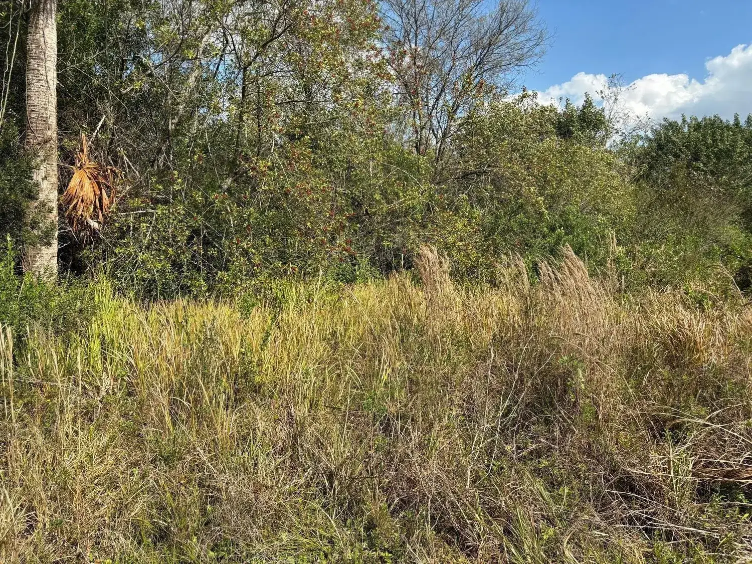 Land/Boat Docks for sale at 3584 US Highway 98, Okeechobee FL 34972