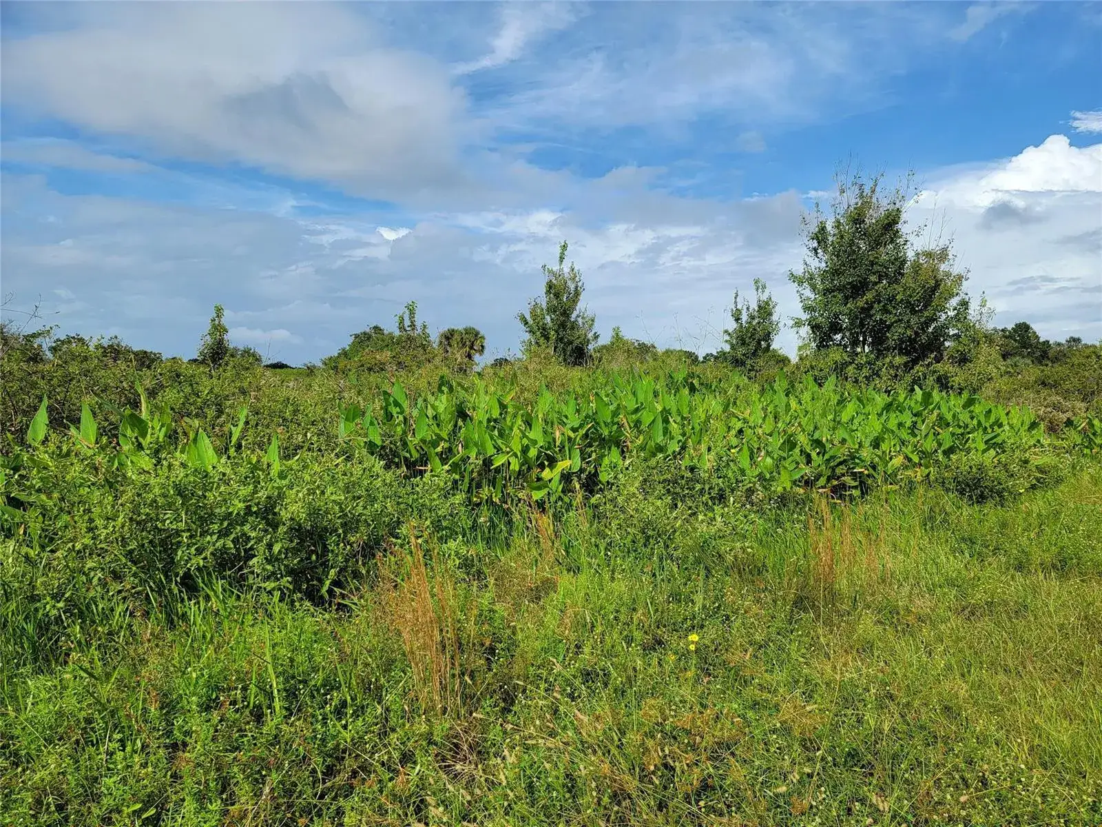 Land/Boat Docks for sale at 17275 NW 260th Street, Okeechobee FL 34972