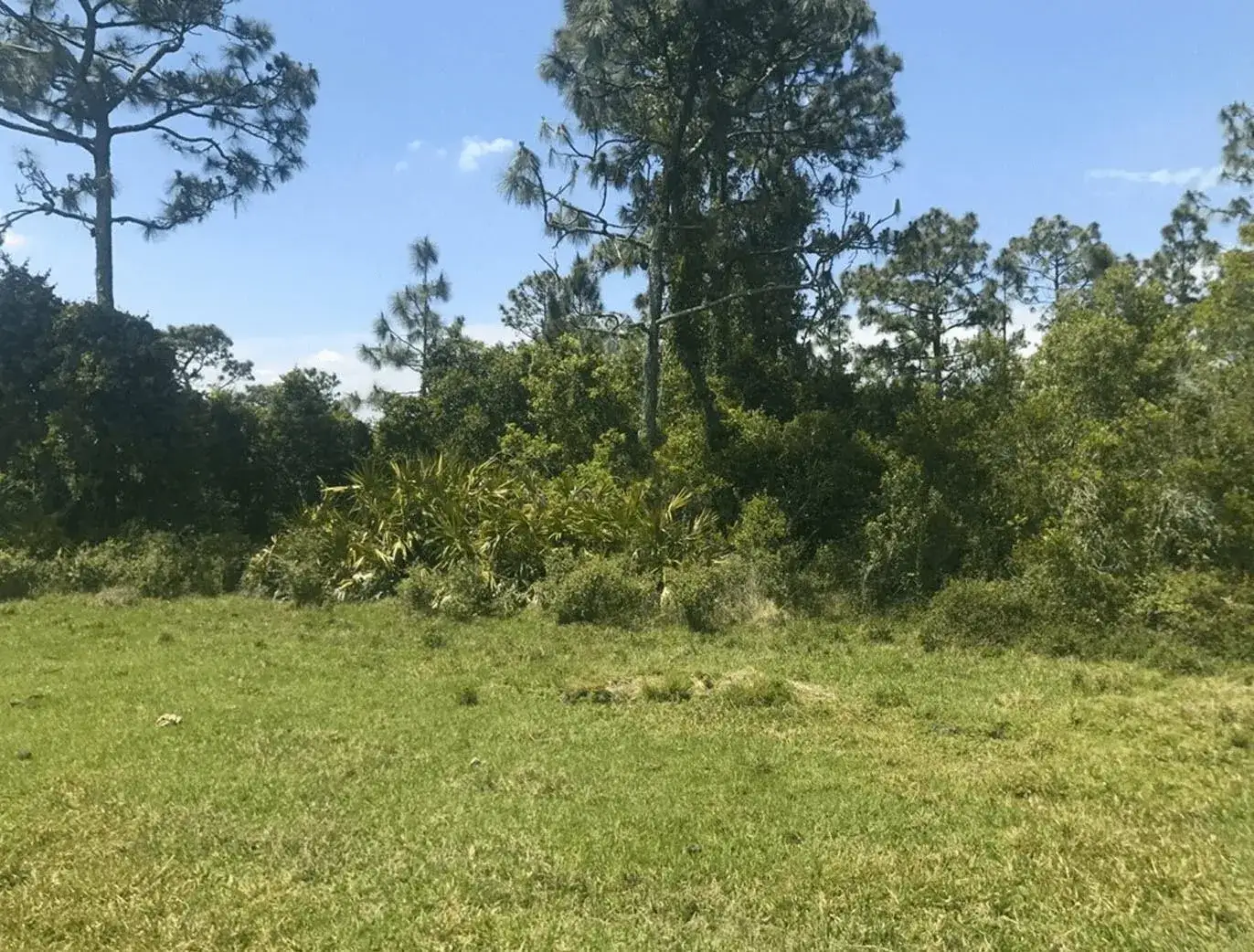 Land/Boat Docks for sale at 0 Holopaw Groves Road, FL 34772