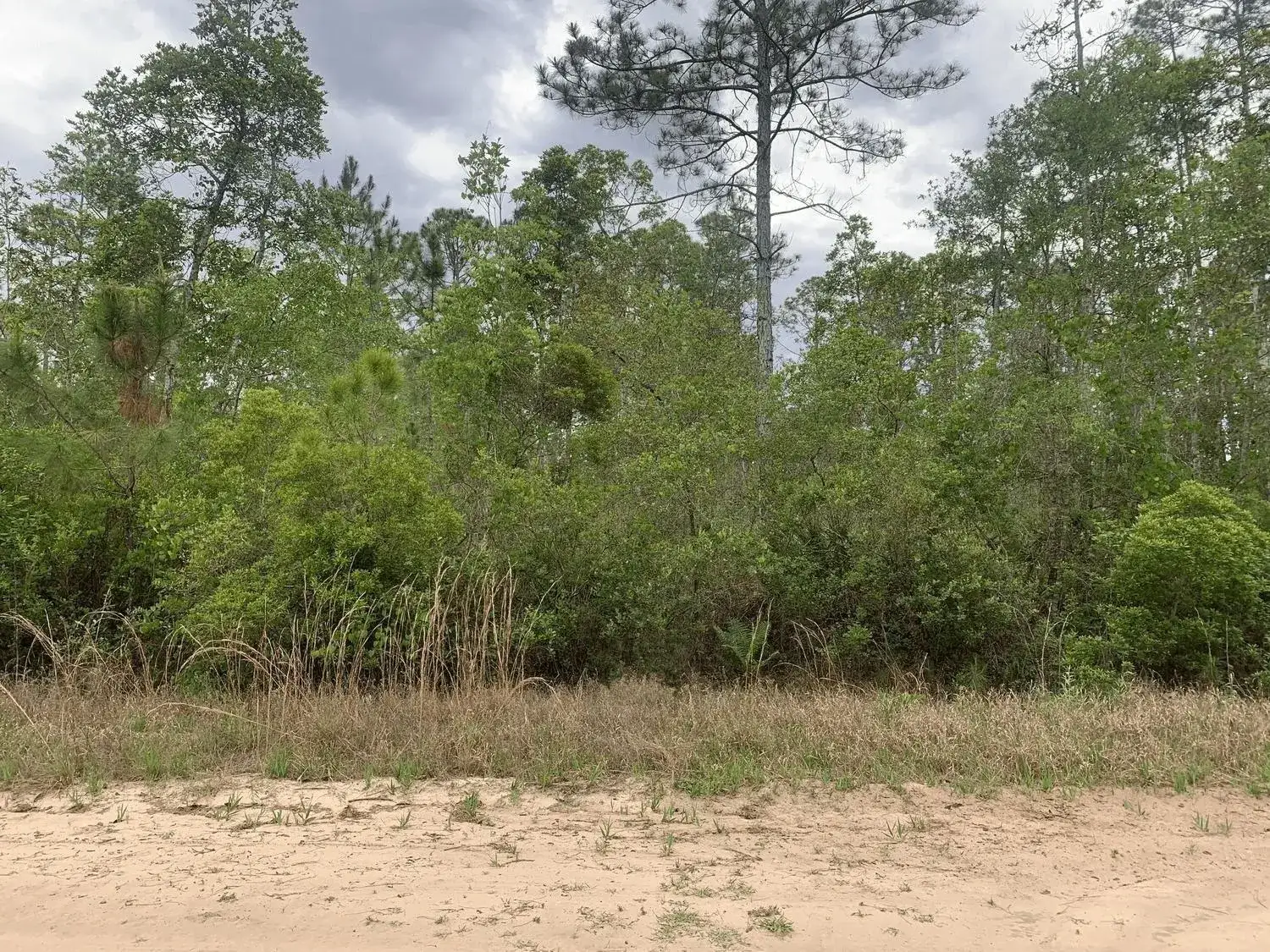 Land/Boat Docks for sale at 0 W Basford Street, FL 32148