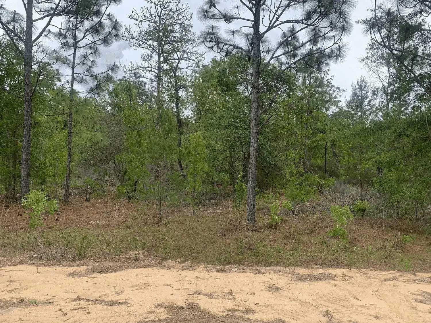 Land/Boat Docks for sale at 0 May Lane, FL 32148