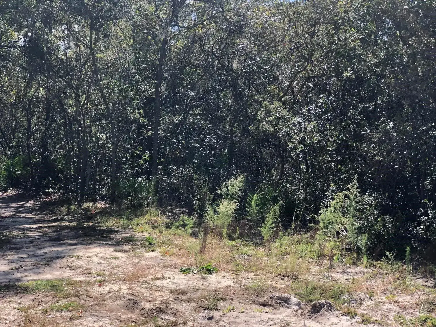 Land/Boat Docks for sale at 0 Oregon Street, FL 32148