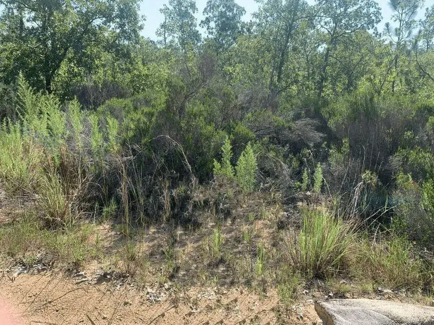Land/Boat Docks for sale at 214 Marion Trail, FL 32148