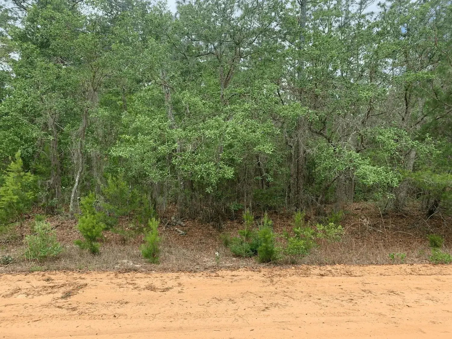 Land/Boat Docks for sale at 0 David Avenue, FL 32148