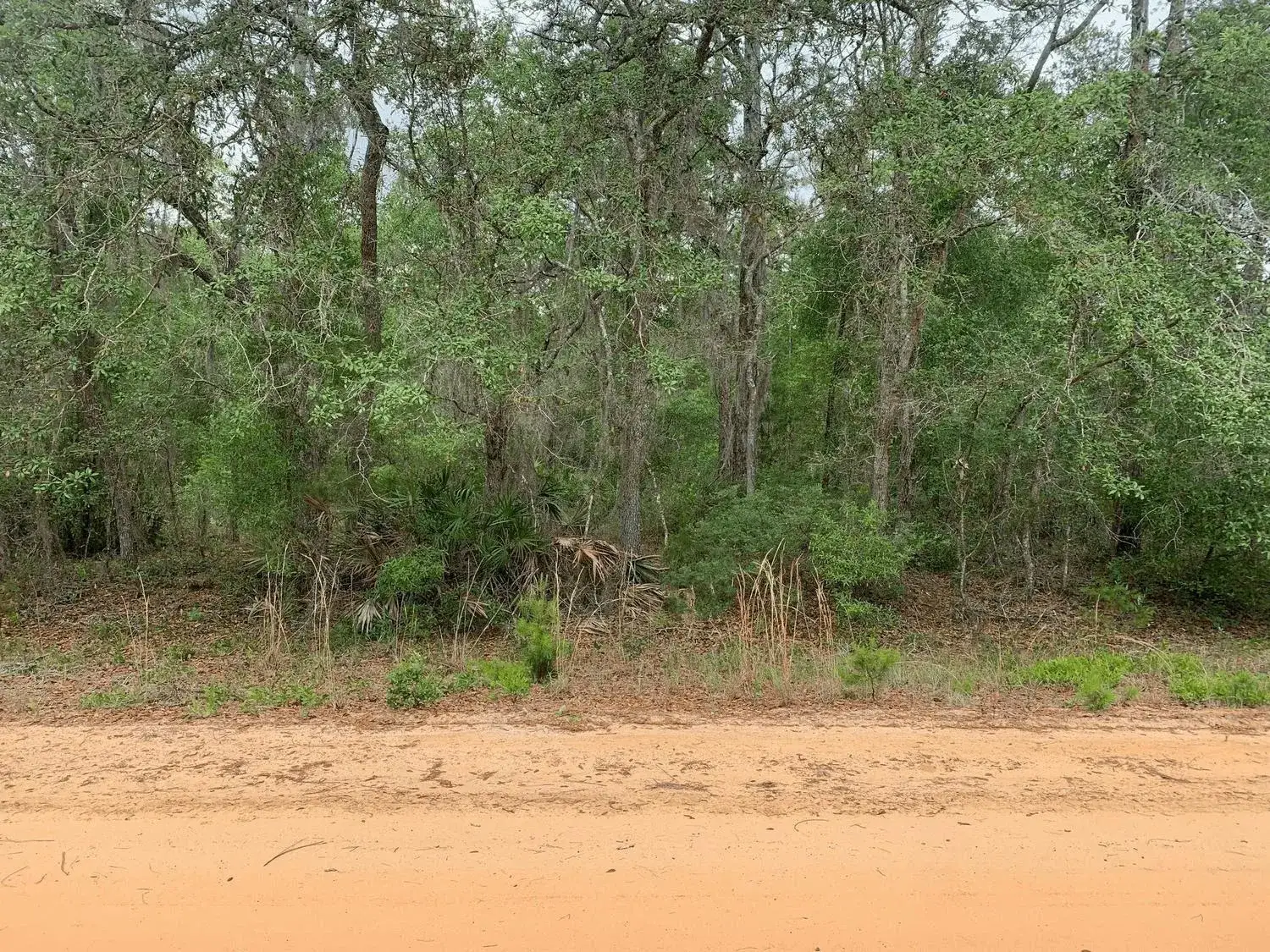 Land/Boat Docks for sale at 0 David Avenue, FL 32148