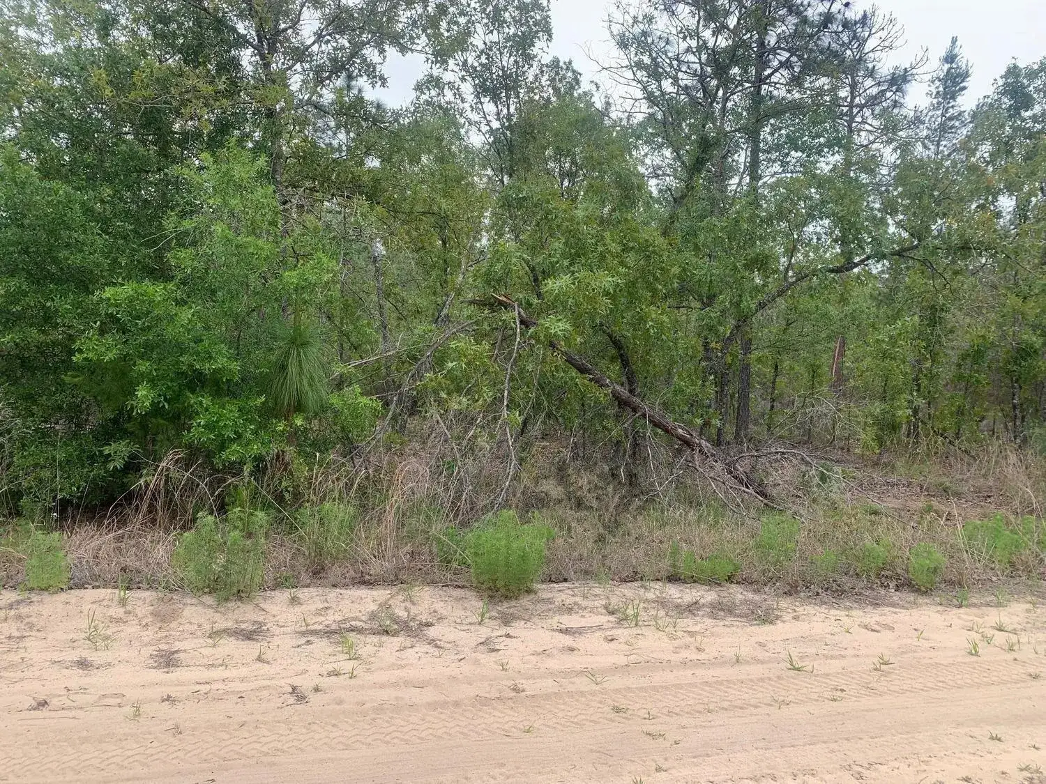 Land/Boat Docks for sale at 0 May Lane, FL 32148