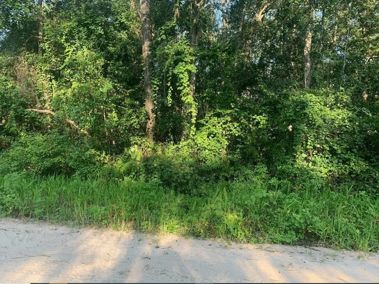 Land/Boat Docks for sale at 0 Ida Boulevard, FL 32148