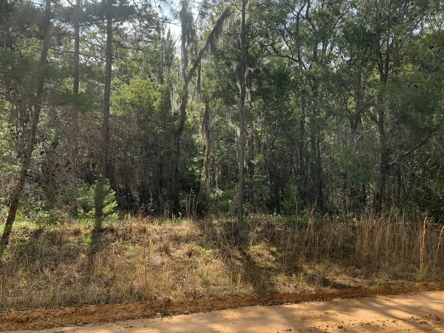 Land/Boat Docks for sale at 0 Shappell Avenue, FL 32148