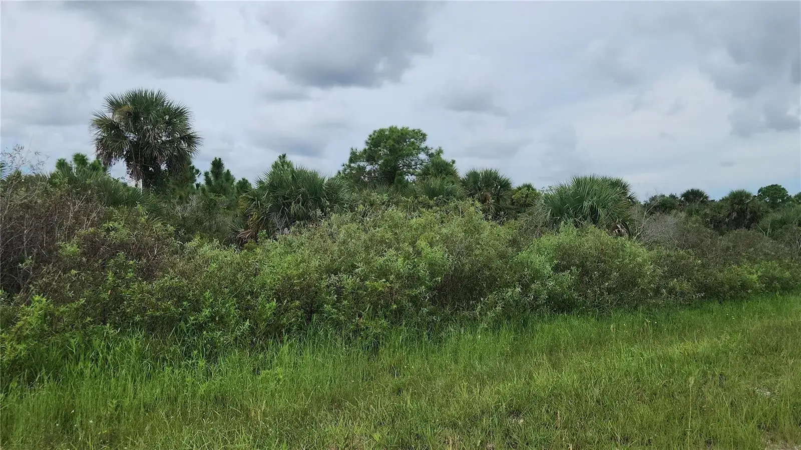 Land/Boat Docks for sale at 14988 NW 316th Street, Okeechobee FL 34972