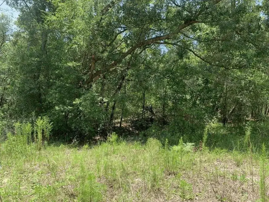 Land/Boat Docks for sale at 0 Oklahoma Avenue, FL 32189