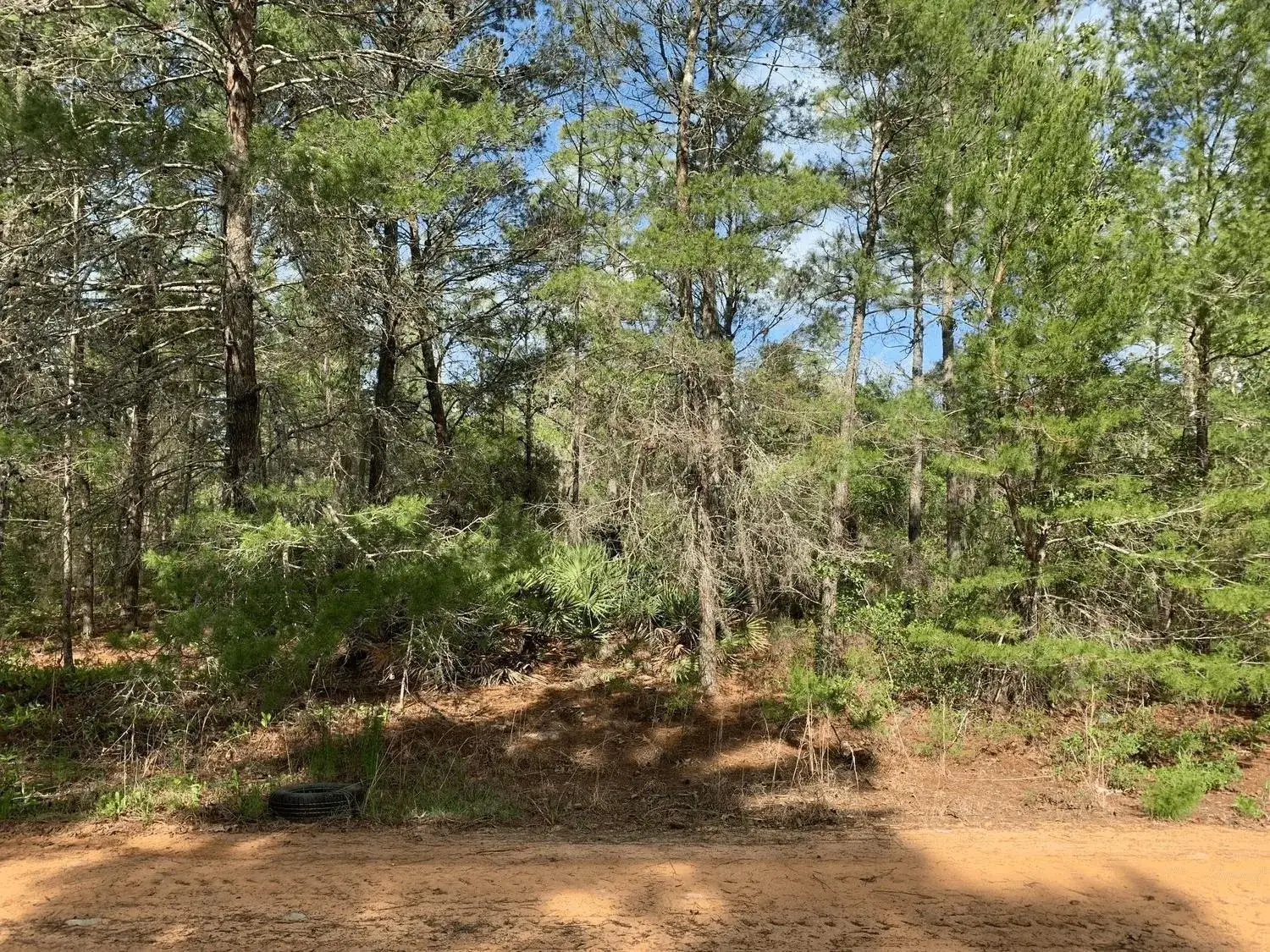Land/Boat Docks for sale at 0 Louise Avenue, FL 32148
