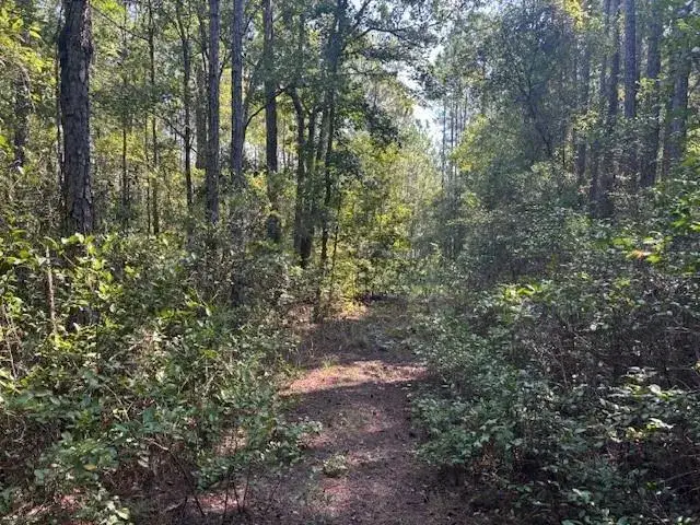 Land/Boat Docks for sale at 224 SE 8th Avenue, Palatka FL 32177
