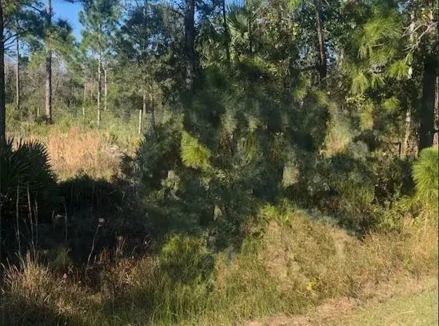 Land/Boat Docks for sale at 0 Kenansville, Okeechobee FL 34739