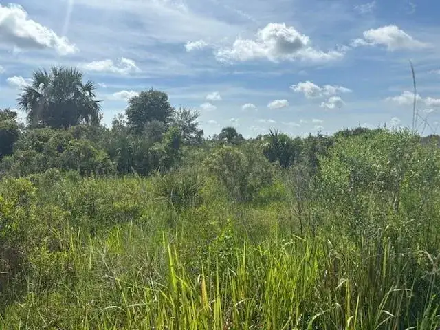 Land/Boat Docks for sale at 0 NW 312th Street, Okeechobee FL 34972