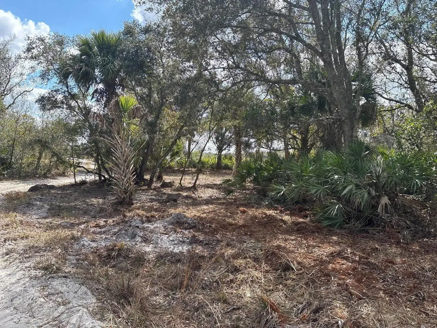 Land/Boat Docks for sale at 0 NW 300th Street, Okeechobee FL 34972