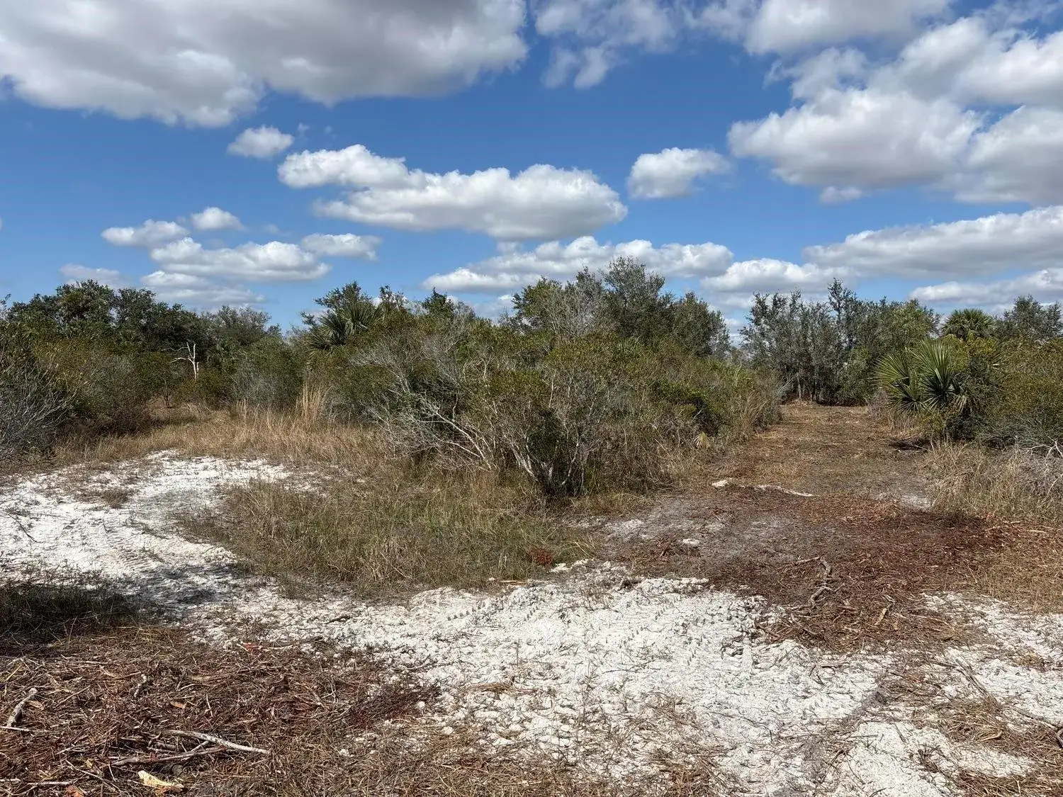 Land/Boat Docks for sale at 0 NW 298th Street, Okeechobee FL 34972