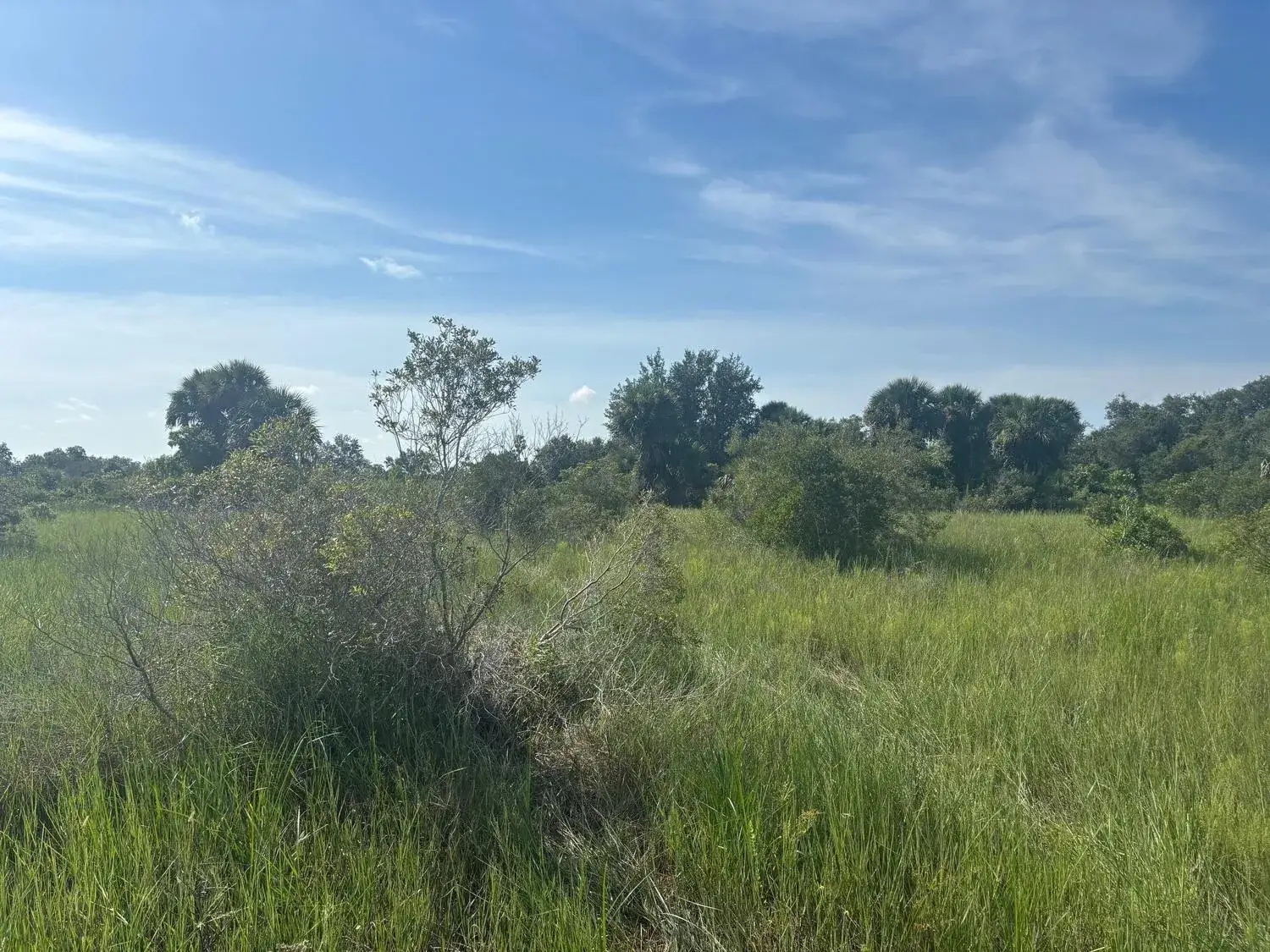 Land/Boat Docks for sale at 0 NW 308th Street, Okeechobee FL 34972