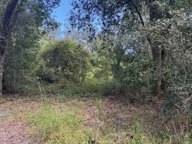 Land/Boat Docks for sale at 0 County Rd 54, FL 33849