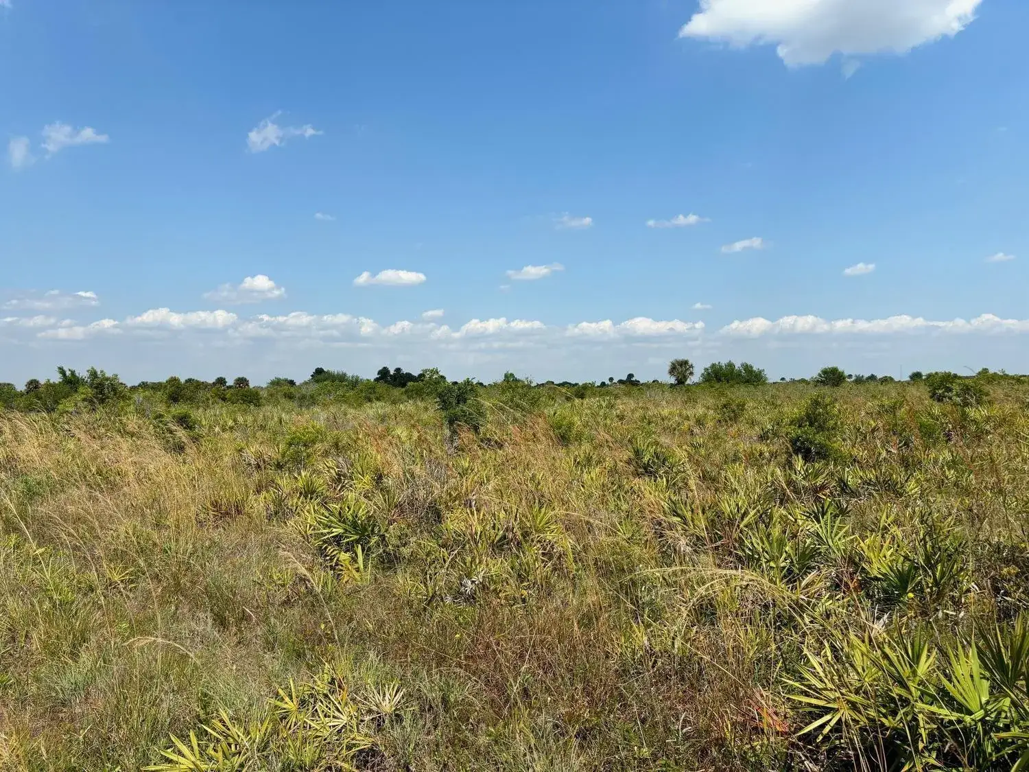 Land/Boat Docks for sale at 0 NW 318th Street, Okeechobee FL 34972