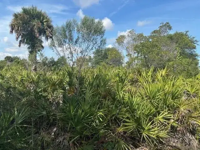 Land/Boat Docks for sale at 0 NW 310th Street, Okeechobee FL 34972