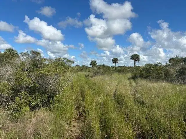 Land/Boat Docks for sale at 0 NW 310th Street, Okeechobee FL 34972