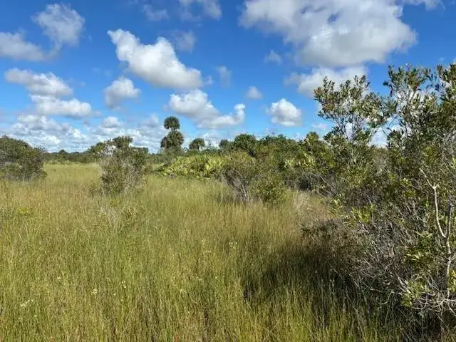 Land/Boat Docks for sale at 0 NW 310th Street, Okeechobee FL 34972