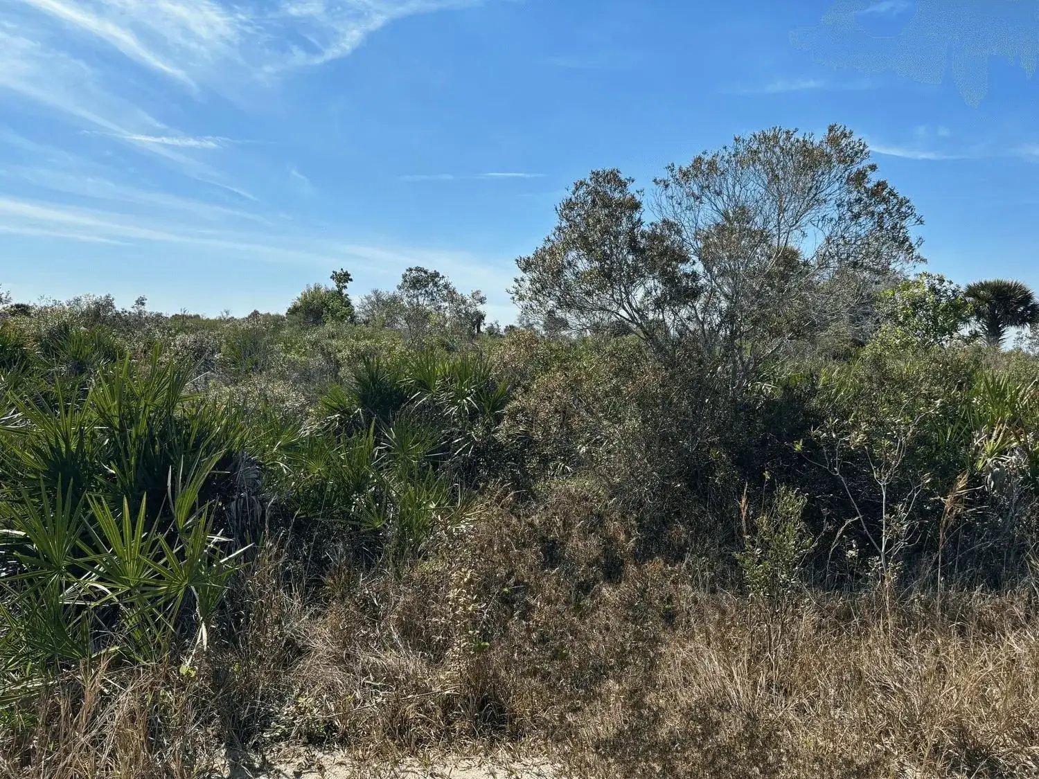 Land/Boat Docks for sale at 0 NW 308th Street, Okeechobee FL 34972