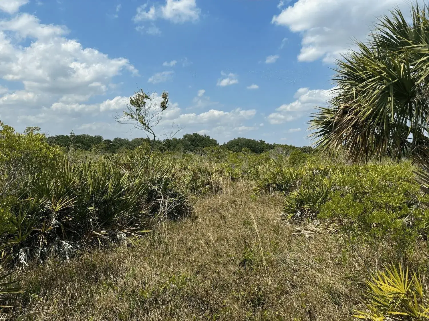 Land/Boat Docks for sale at 0 NW 306th Street, Okeechobee FL 34972