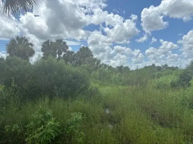 Land/Boat Docks for sale at 0 NW 316th Street, Okeechobee FL 34972