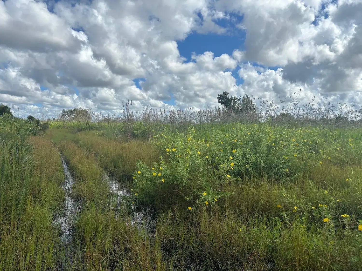 Land/Boat Docks for sale at 0 NW 316th Street, Okeechobee FL 34972