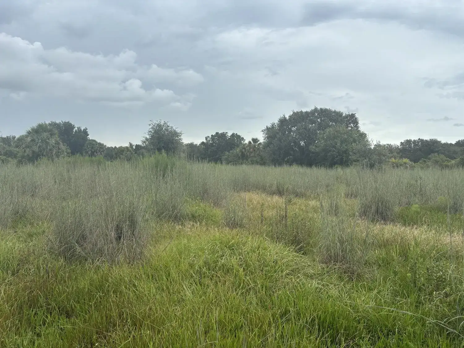 Land/Boat Docks for sale at 0 294th Street, Okeechobee FL 34972
