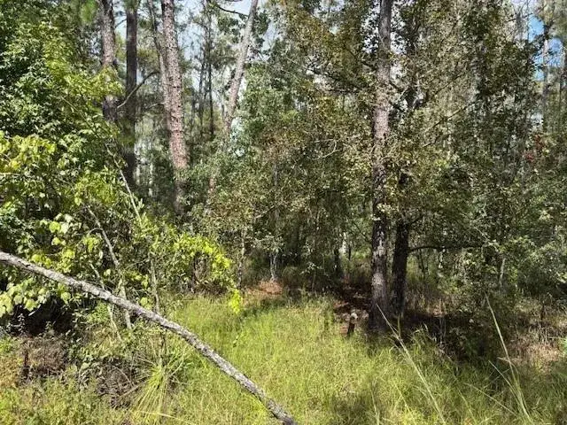 Land/Boat Docks for sale at 0 County Rd 54, FL 33849