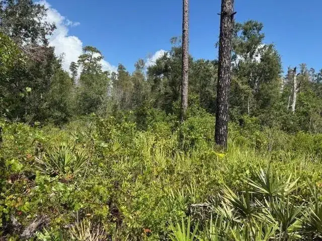Land/Boat Docks for sale at 0 County Rd 54, FL 33849