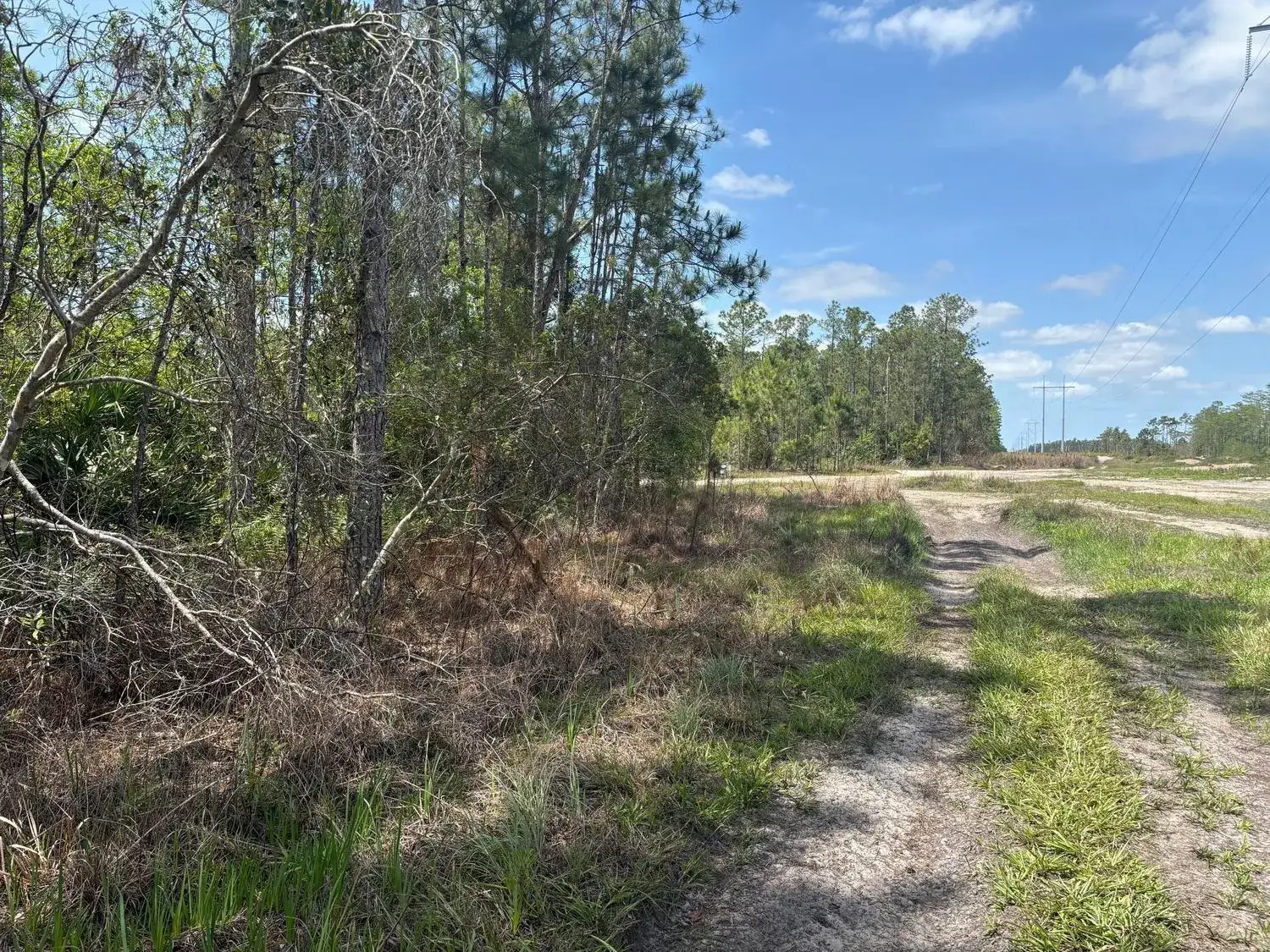 Land/Boat Docks for sale at 0 Holopaw Groves Road, FL 34772