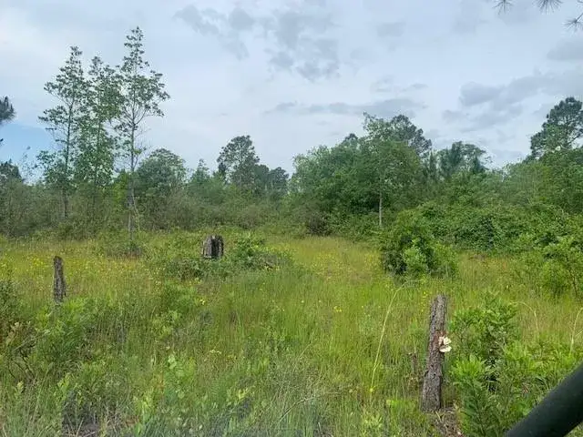 Land/Boat Docks for sale at 0 Holopaw Groves Road, FL 34772