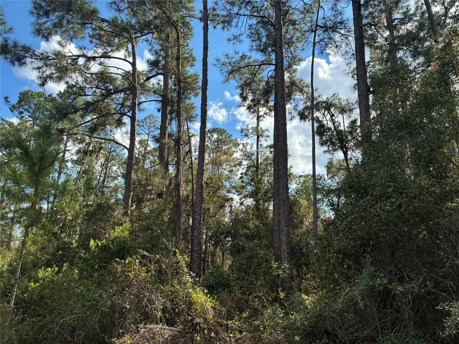 Land/Boat Docks for sale at Lot 15 Park Avenue, FL 33855