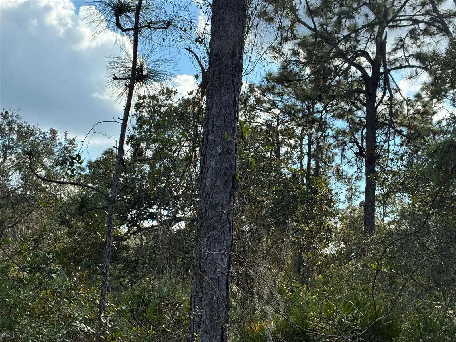 Land/Boat Docks for sale at Lot 21 & 22 Plumosa Drive, FL