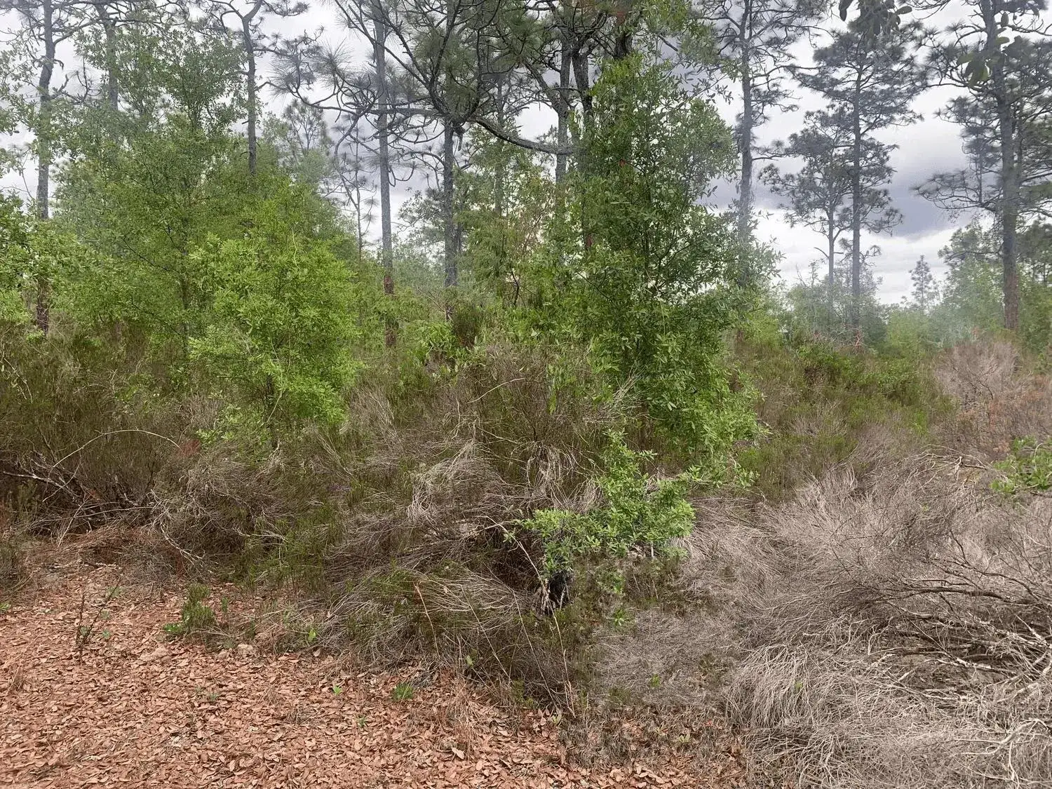 Land/Boat Docks for sale at 0 Somerset Avenue, FL 32148