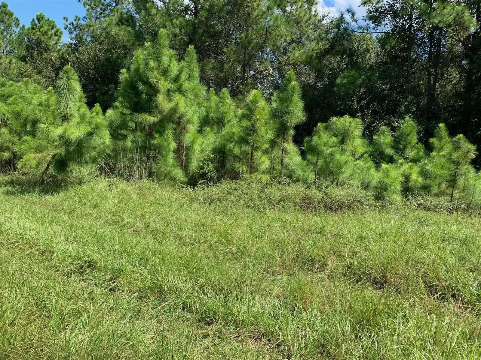 Land/Boat Docks for sale at 0 Old Grade Road, FL 33868