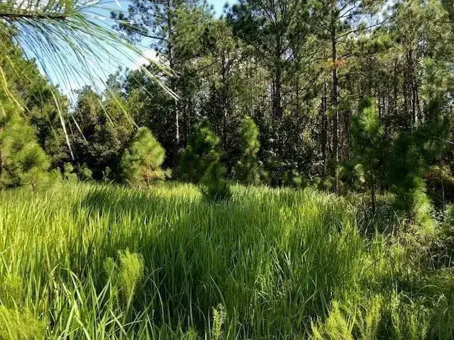 Land/Boat Docks for sale at 0 Old Grade Road, FL 33868