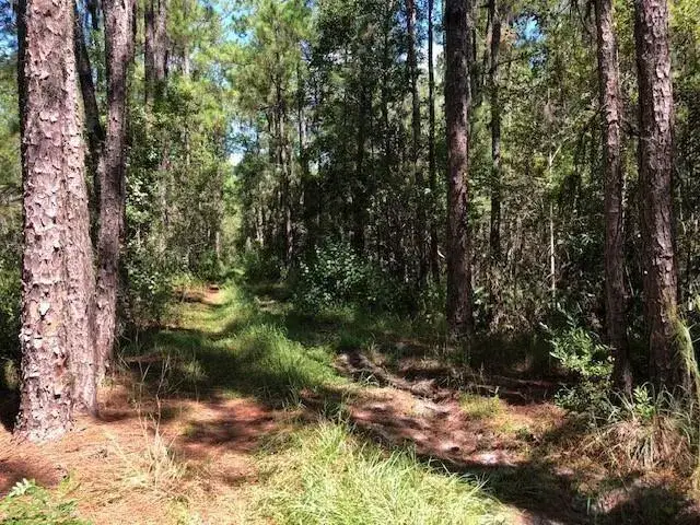 Land/Boat Docks for sale at 0 Old Grade Road, FL 33868