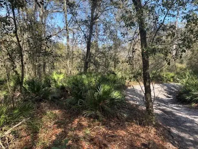 Land/Boat Docks for sale at 0 County Rd 54, FL 33849